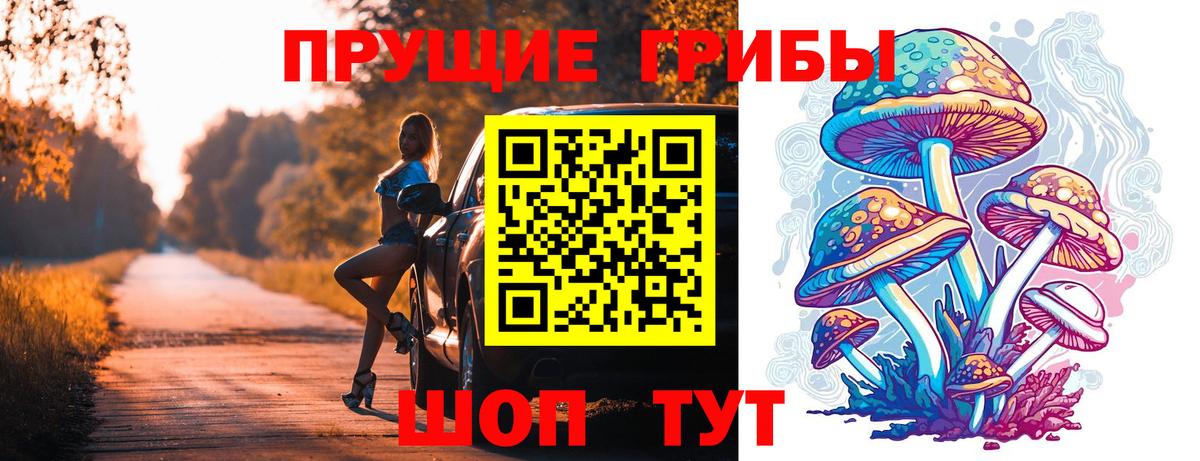 Сертолово  Псилоцибиновые грибы Psilocybine cubensis  Галлюциногенные грибы Psilocybine cubensis  как найти наркотики  Вход с VPN 